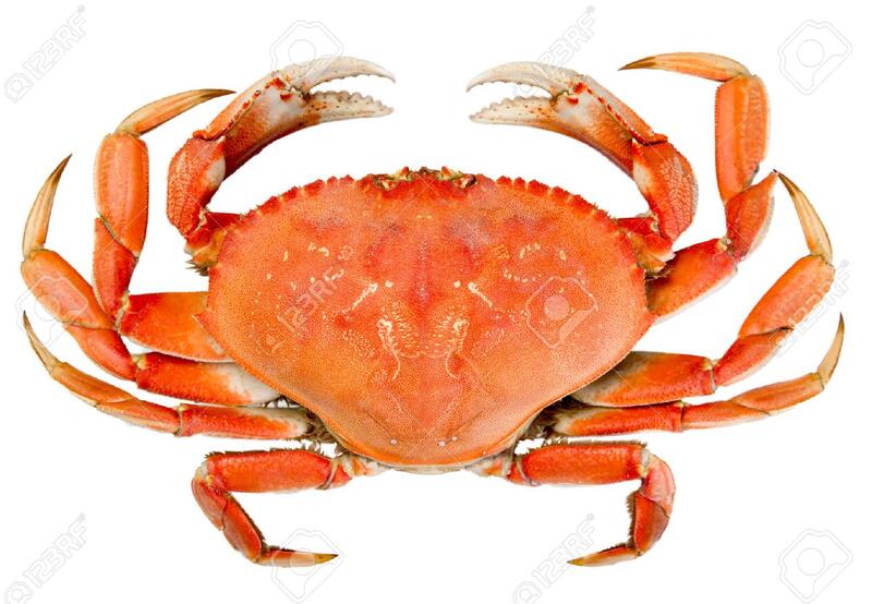 Lb Dungeness Crab